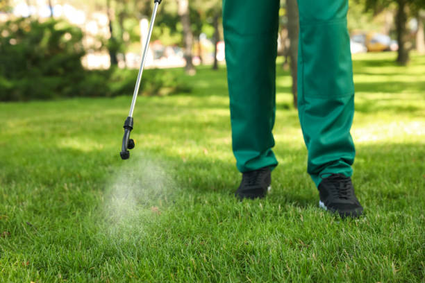 Best Pest Prevention Services  in Gretna, FL