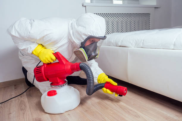 Trusted Gretna, FL Pest Control Experts